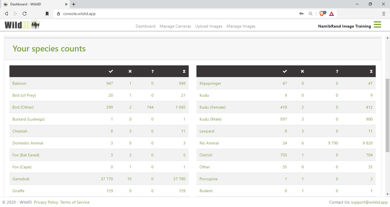 Example WildID dashboard showing species counts.