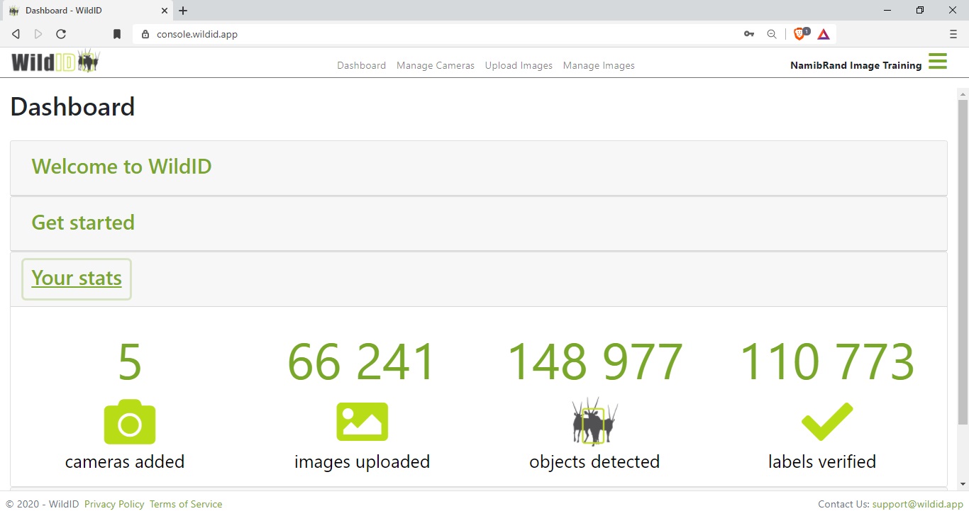 Example WildID dashboard showing stats of your object detections.