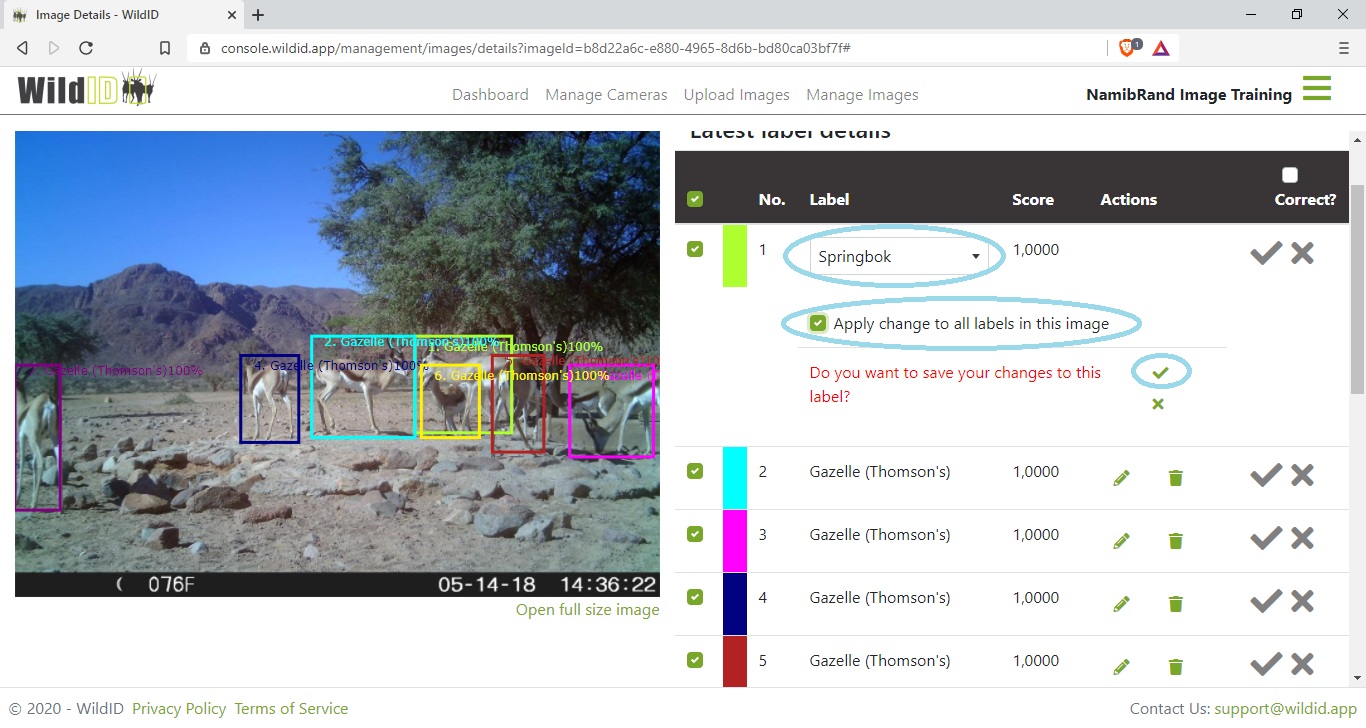 Example WildID screen showing Images Details screen showing edit of all labels in an image at once.