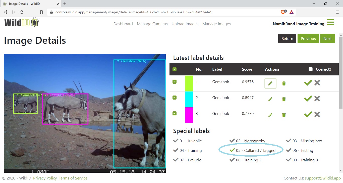 Example WildID screen showing Images Details screen showing collared special label.