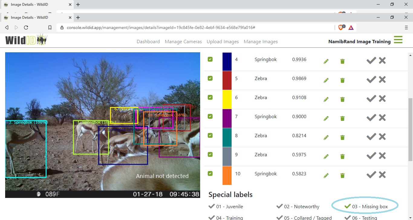 Example WildID screen showing Images Details screen with missing box special label.