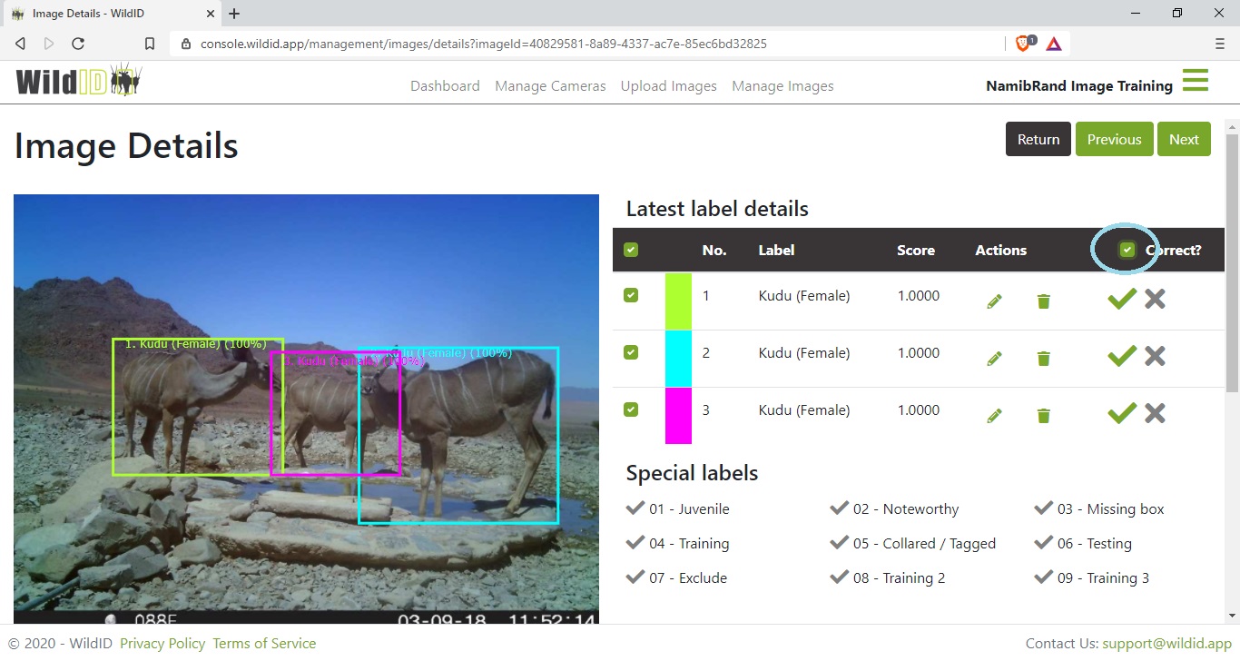 Example WildID screen showing Images Details screen showing verification of all labels at once.