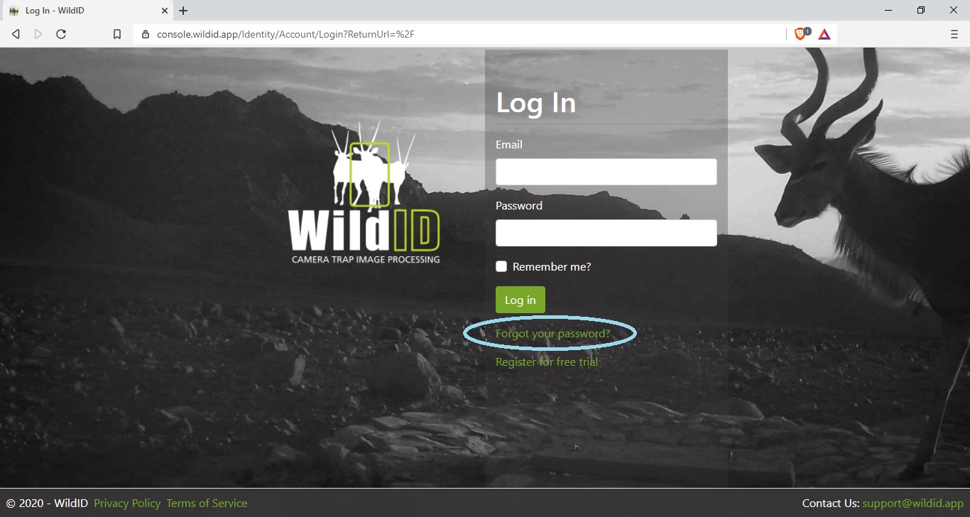 WildID Login page showing forgot password link.