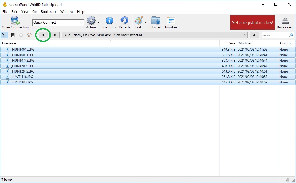 Example Cyberduck screen showing SFTP bulk upload to WildID - copy camera trap images to SFTP camera folder.