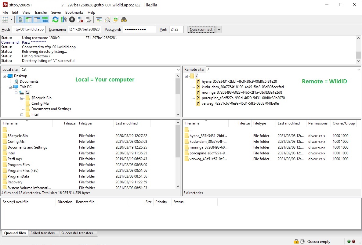 Example FileZilla screen showing SFTP bulk upload to WildID - SFTP camera folders.