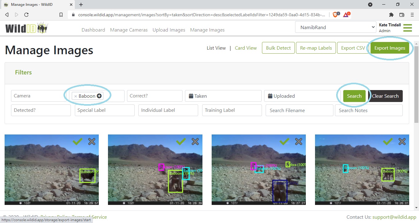 Example screen from WildID showing selected images being bulk exported.